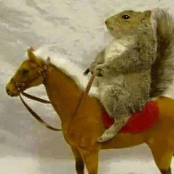 Meet your Posher, Josh - Picture 1 of 1